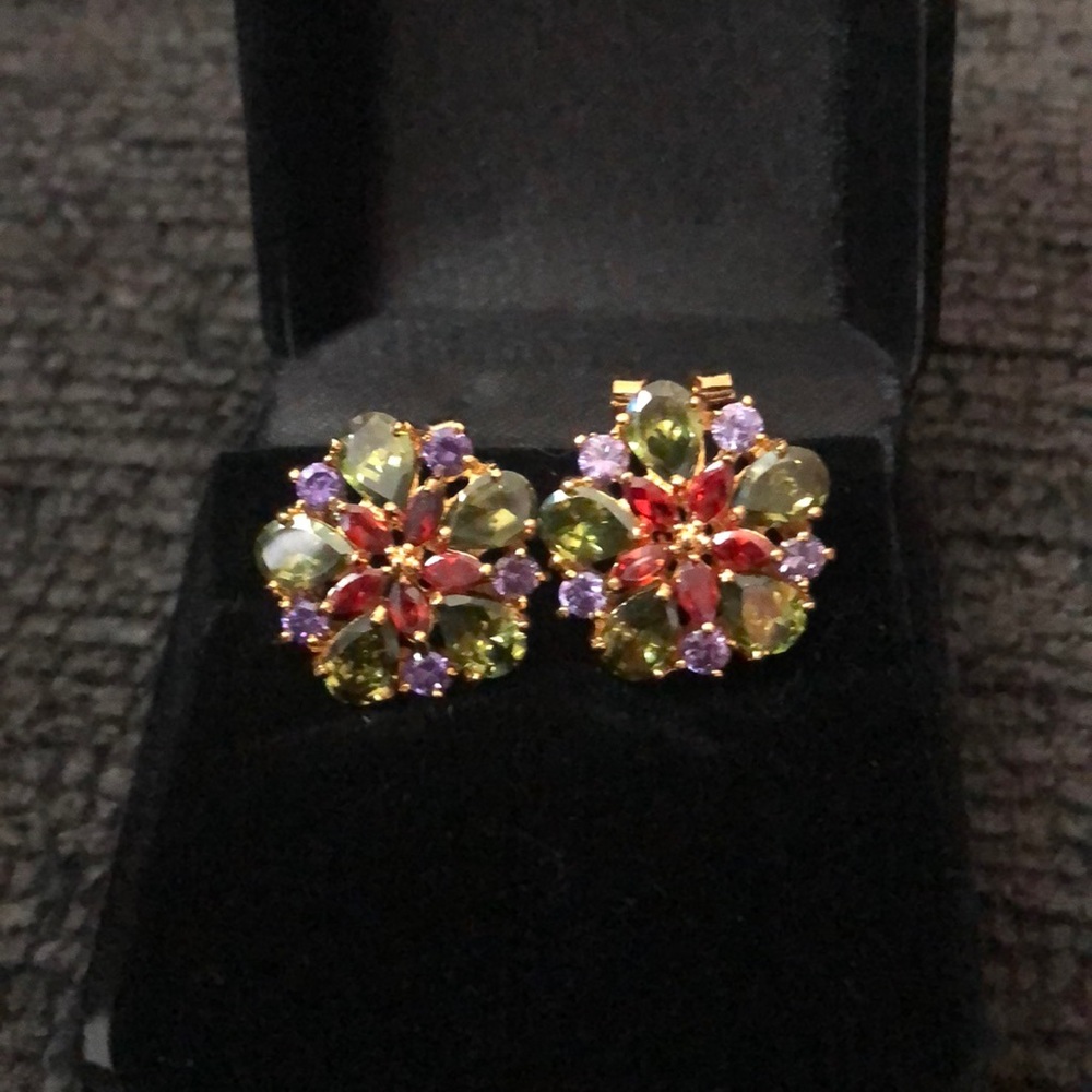 Beautiful new earrings